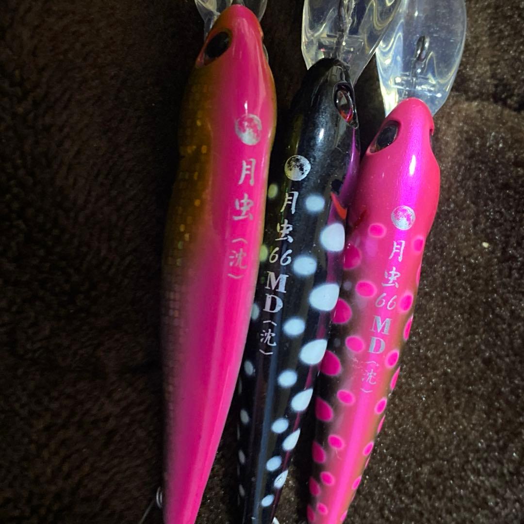 エリアミノーイング　月虫セット