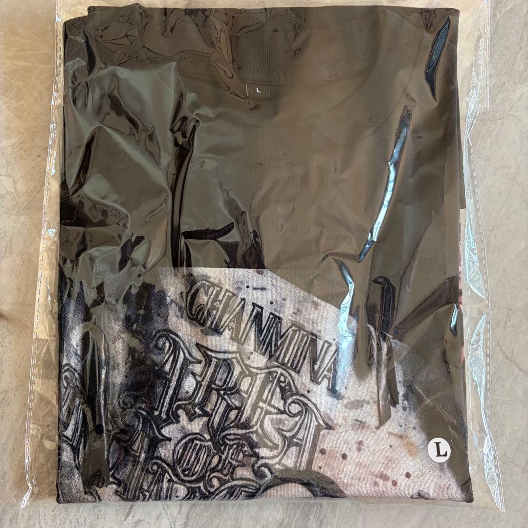 ちゃんみな AOD4 Tシャツ 新品 Lサイズ