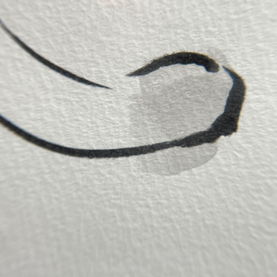 伸びる猫｜墨画 原画｜B4 額装作品｜一点物｜2025