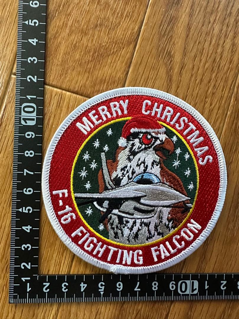 その他 USAF 195th FS WARHAWKS