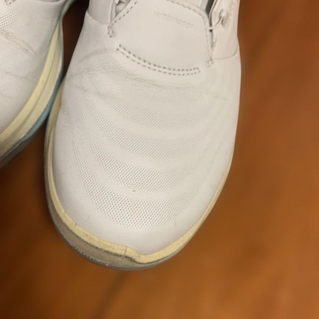 ecco BOAシステム レディースゴルフシューズ 24.5cm