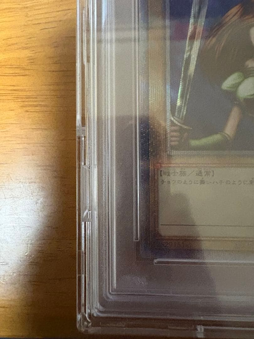 女剣士カナン 25th シークレット PSA10