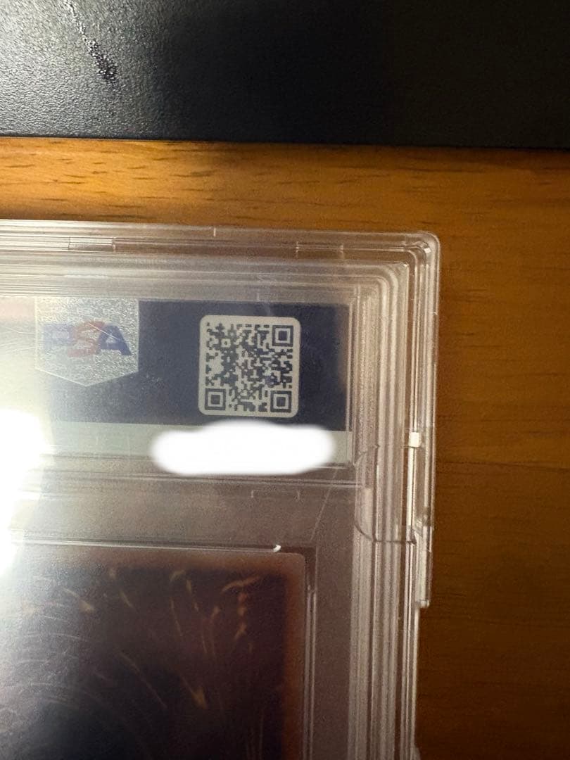 女剣士カナン 25th シークレット PSA10