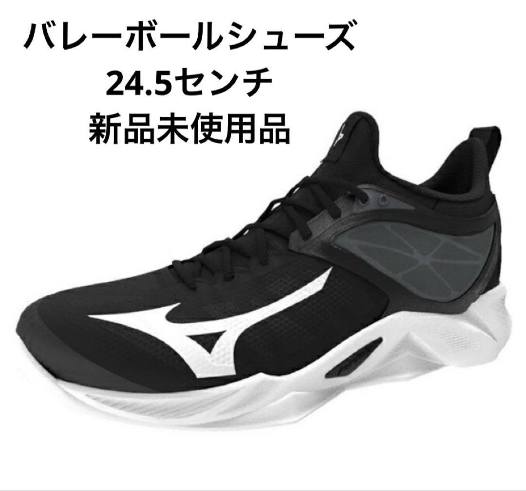 Mizuno バレーボールシューズ 24.5センチ　新品未使用品
