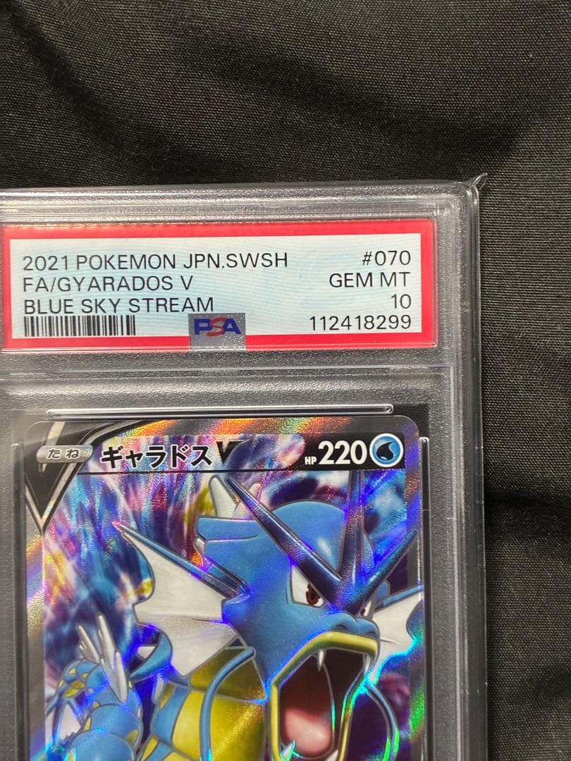 世界360枚 PSA10 ギャラドスV SR gyarados 2021 53