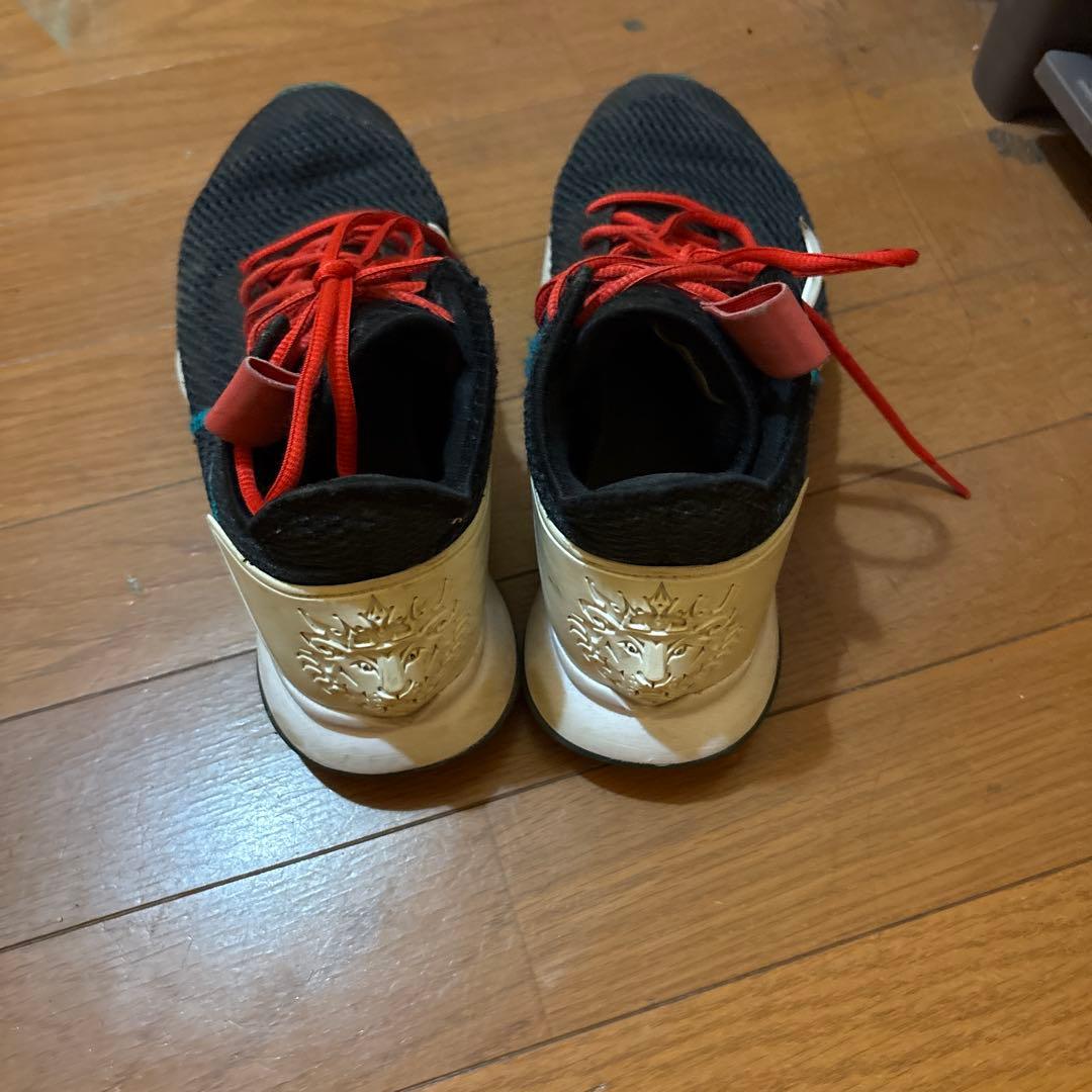 Nike バスケットボールシューズ 黒/赤 LEBRON WITNESS |V