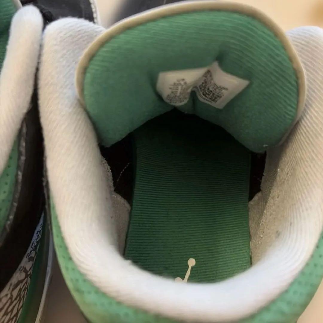 シューズ(男性用) Nike Air Jordan 3 \"Pine Green\"