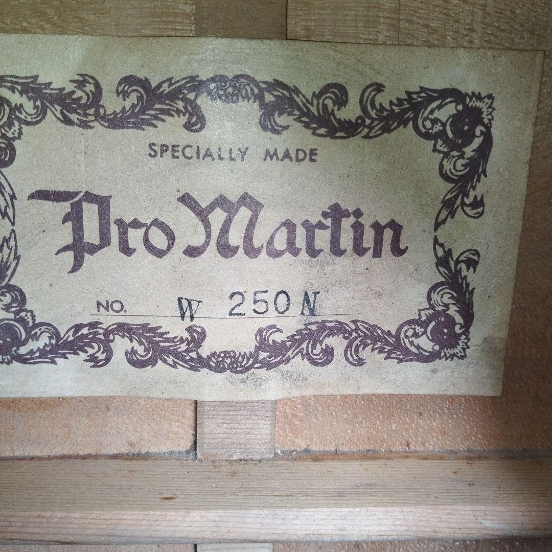 ProMartin W250Nアコースティックギター【ヴィンテージ】
