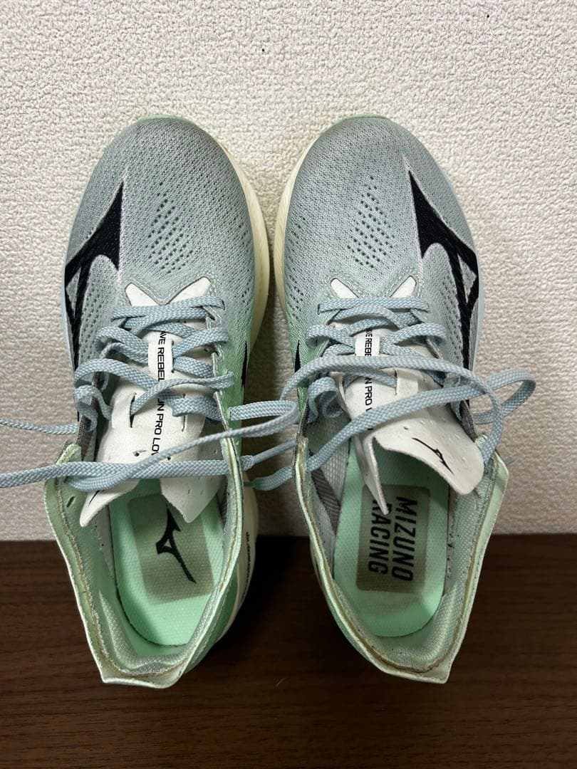 MIZUNO ウェーブリベリオンプロLOW [25cm]
