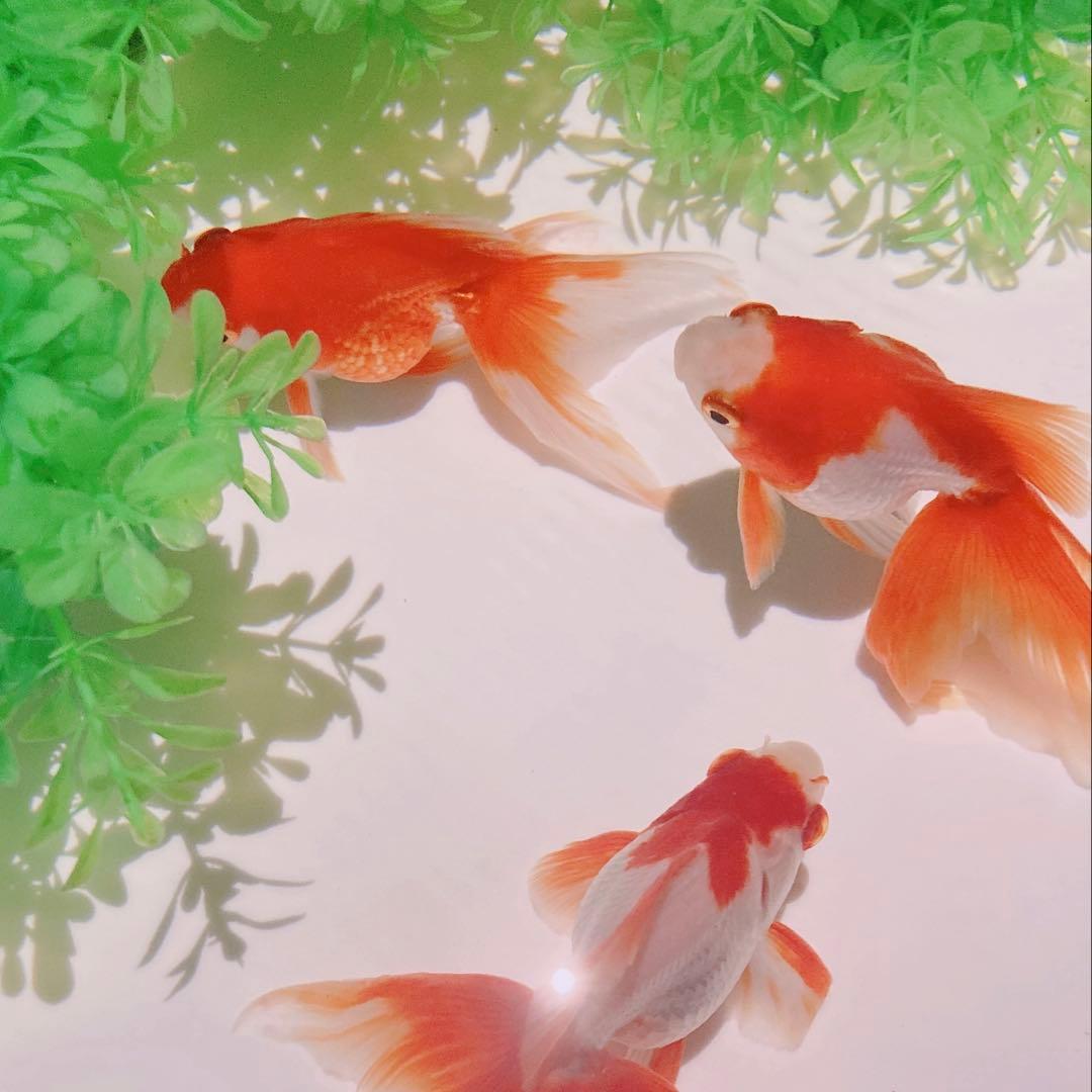 楽一番様◎