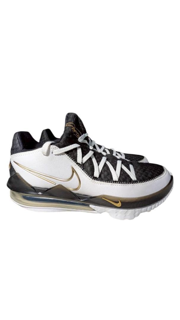 NIKE レブロン17 Low 白金黒 28cm CD5007-101