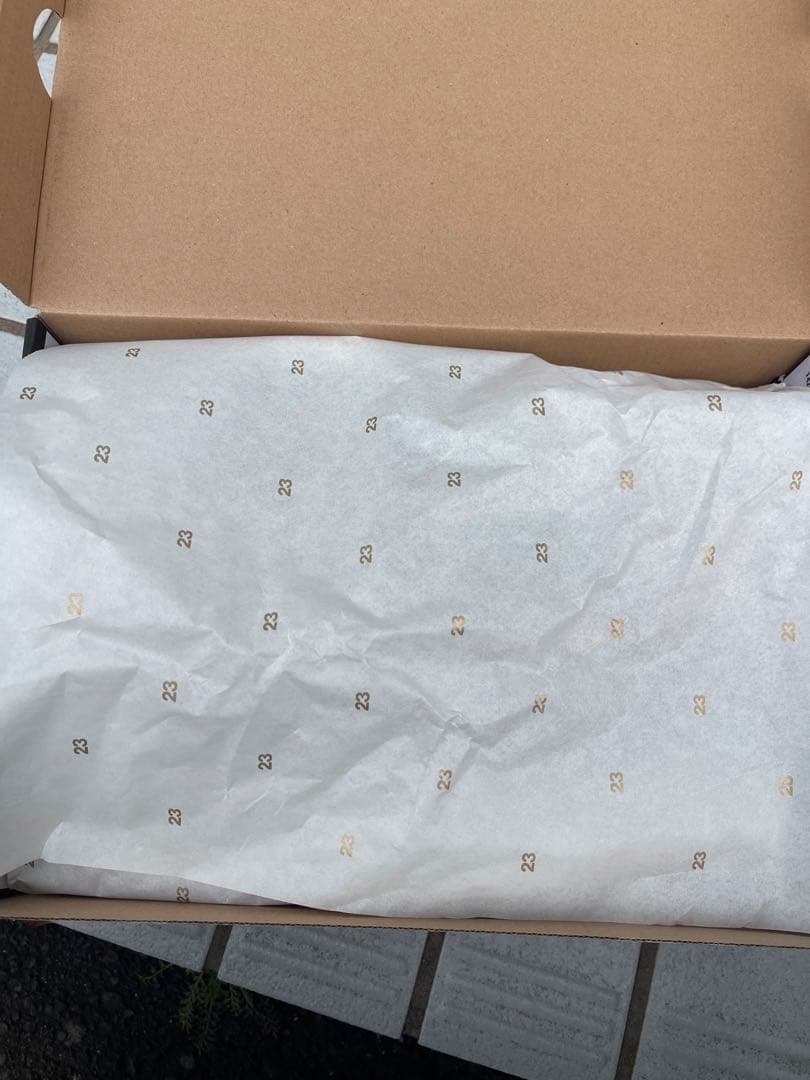 Air Jordan1 MID 桜木花道 DQ8426-060 Bred