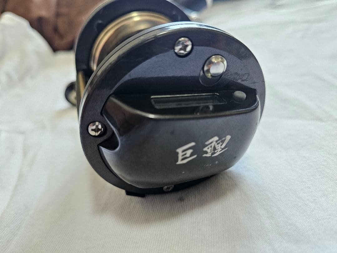 巨鯉 40W 鯉専用設計 DAIWA
