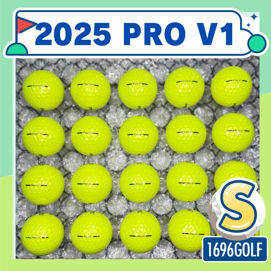 ロストボール タイトリスト PRO V1 S ランク 20球 4 おまけティ付