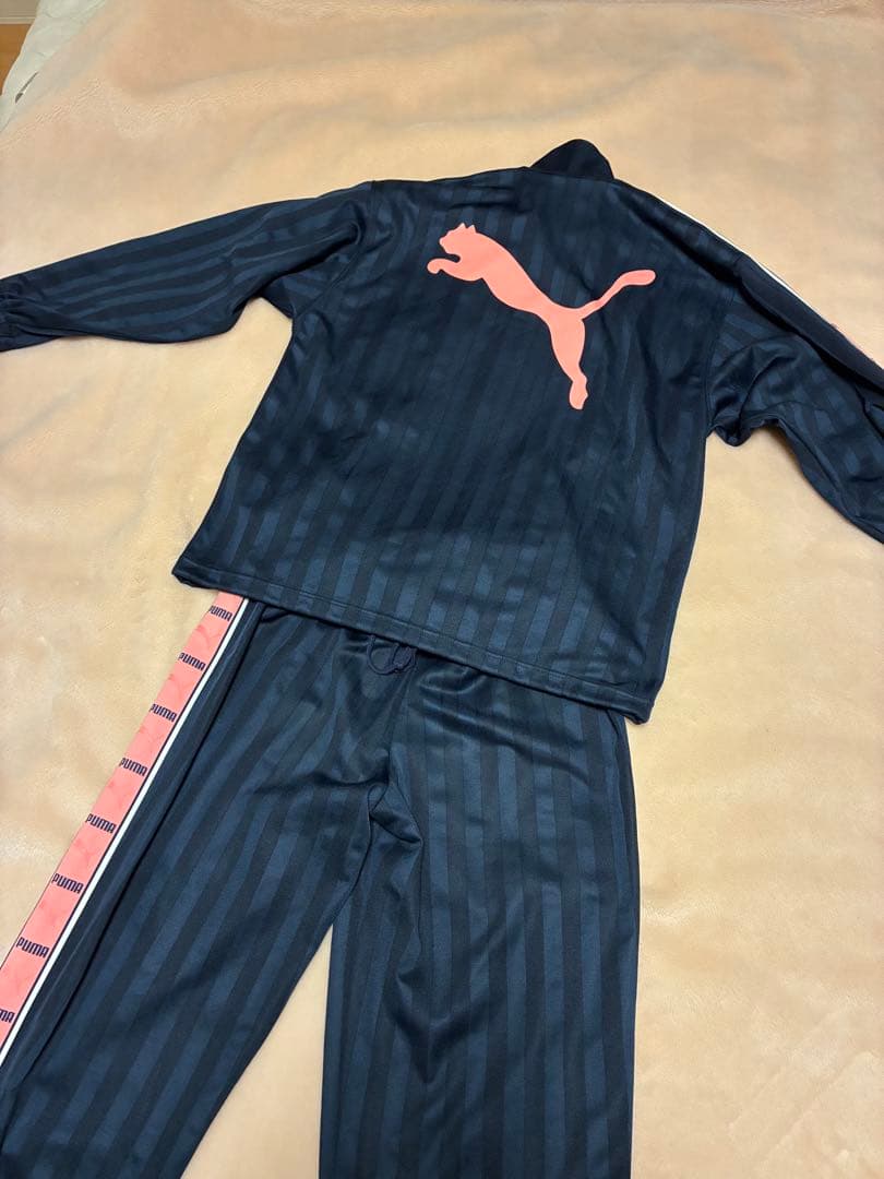PUMA ジャージ上下セット ピンク