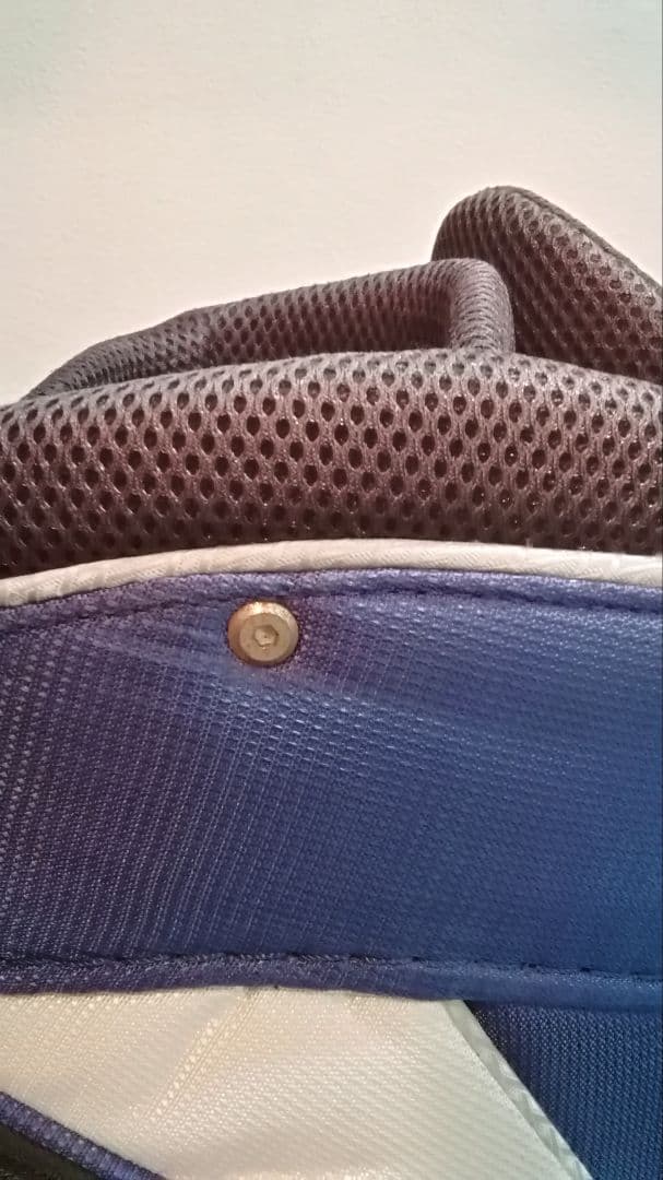 MIZUNO ゴルフ キャディバッグ