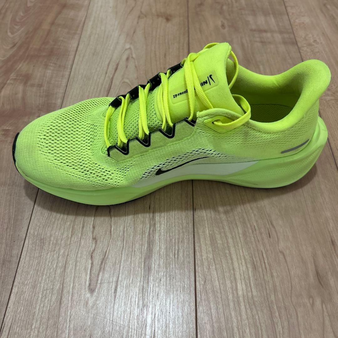 Nike ペガサス41