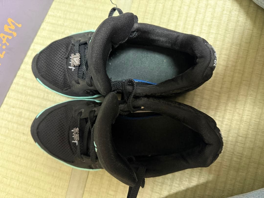 Nike Ja2 ジャ2 ティファニー ジャモラント 25cm