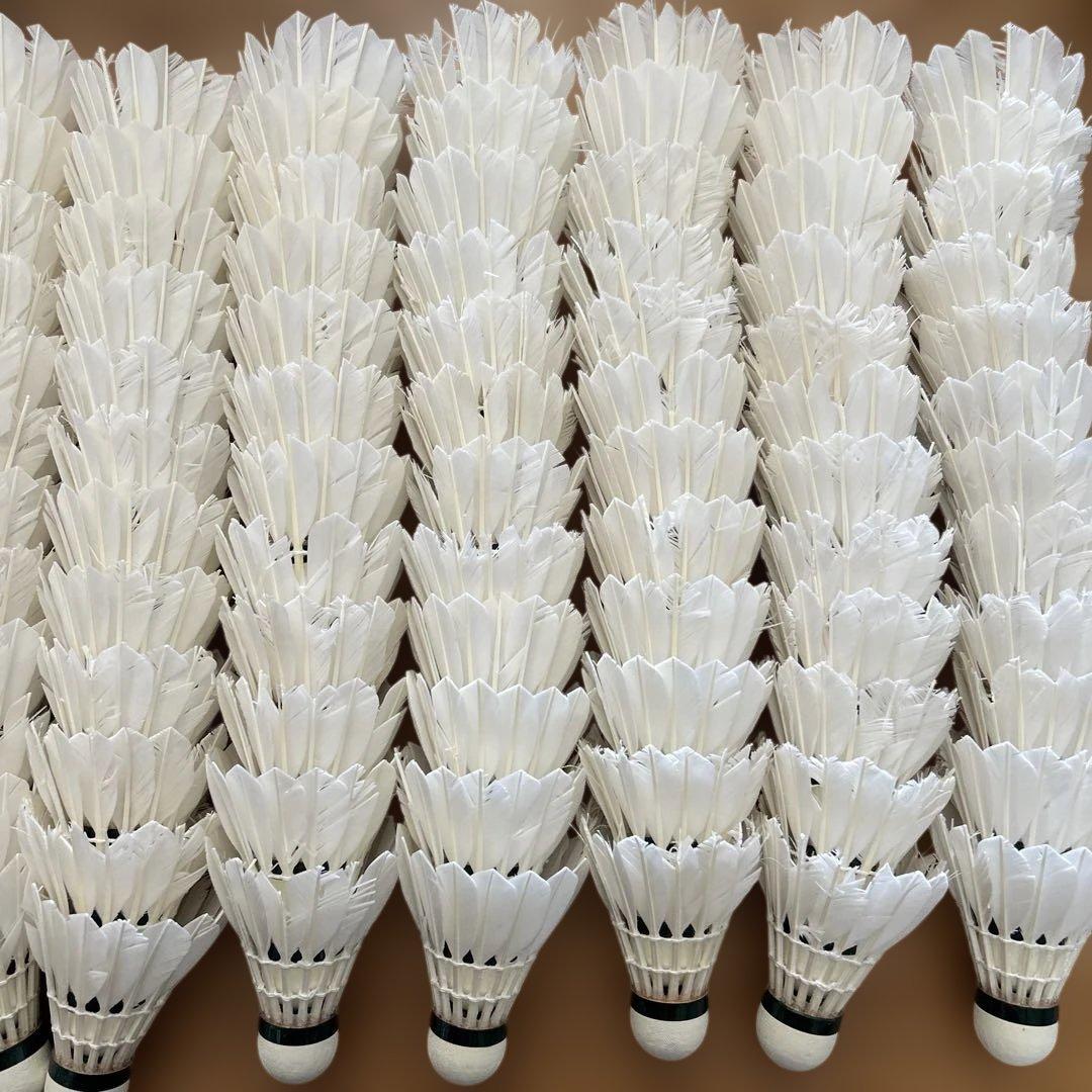 ヨネックス 中古 ノック シャトル