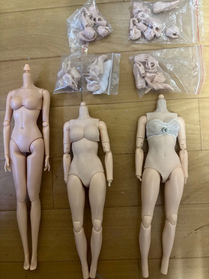 1/6 女性フィギュア素体 6体 ノーブランド