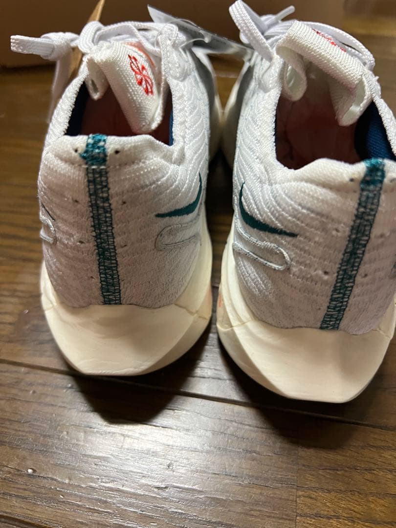 【新品未使用】NIKE ペガサスターボネクストネイチャー25cm