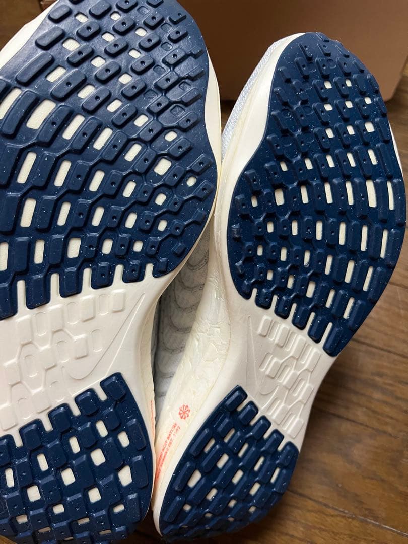 【新品未使用】NIKE ペガサスターボネクストネイチャー25cm