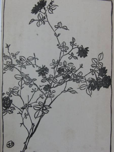 石井柏亭、紅薔薇、明治、希少な版画集画集より、新品高級額装付、状態良好