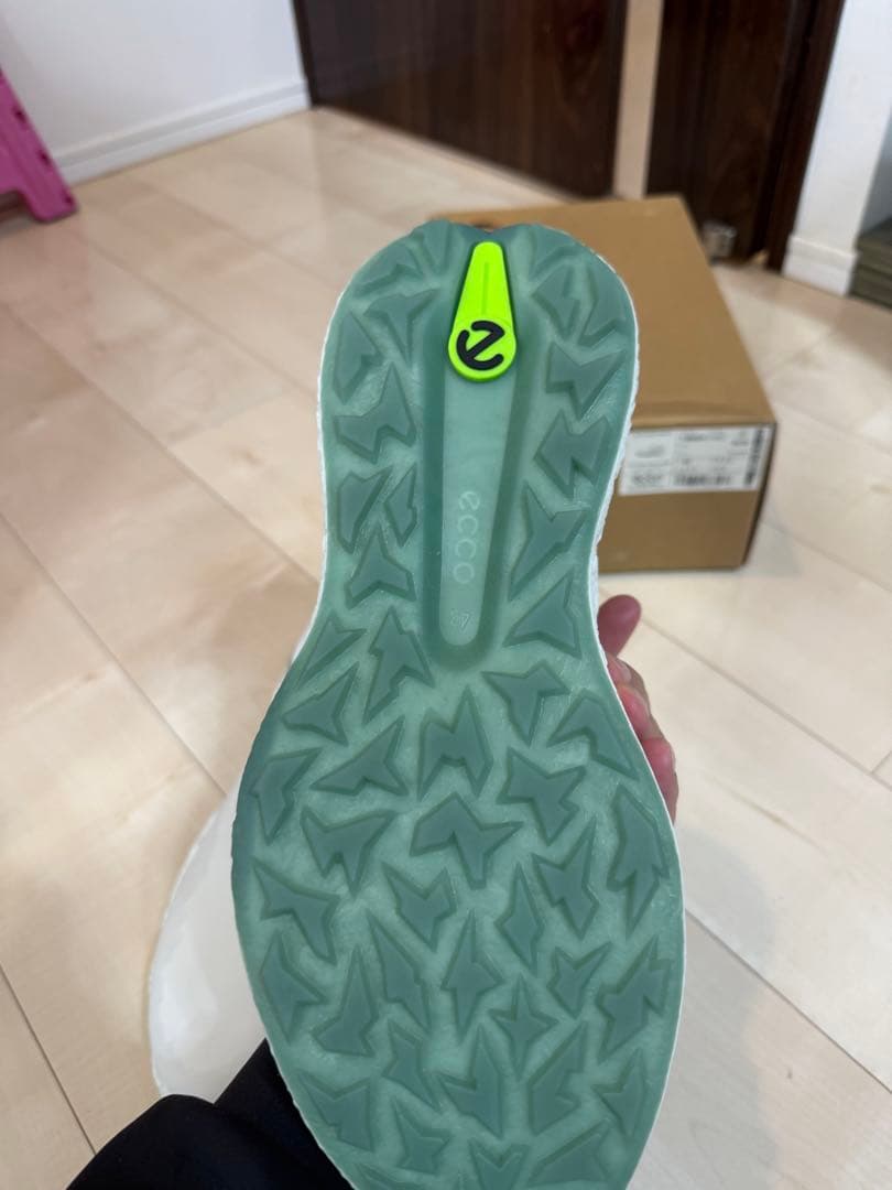 シューズ(男性用) ECCO GOLF BIOM H5 hybrid BOA 27.5