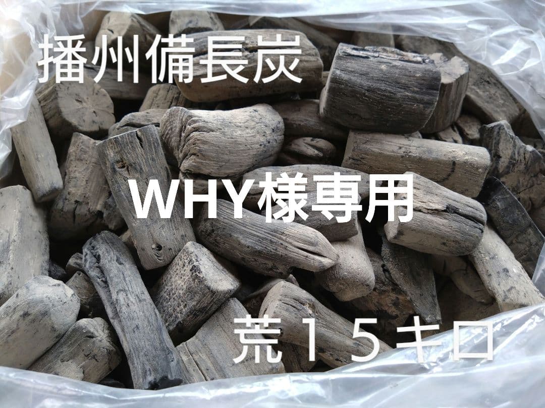 WHY 荒１５キロ