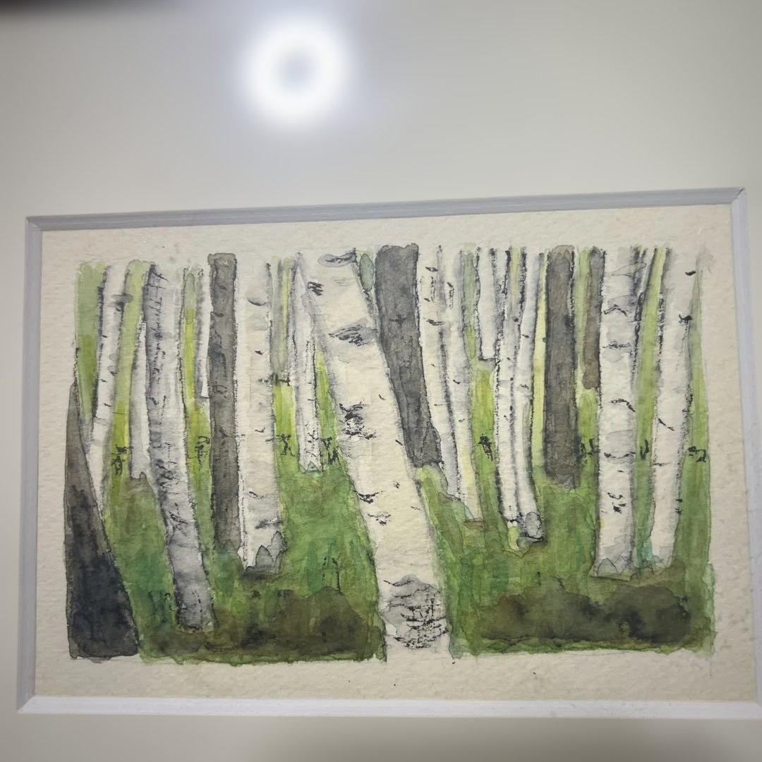 《夕日》《白樺林 》水彩画 風景画 原画 秋の風景 水彩画 原画