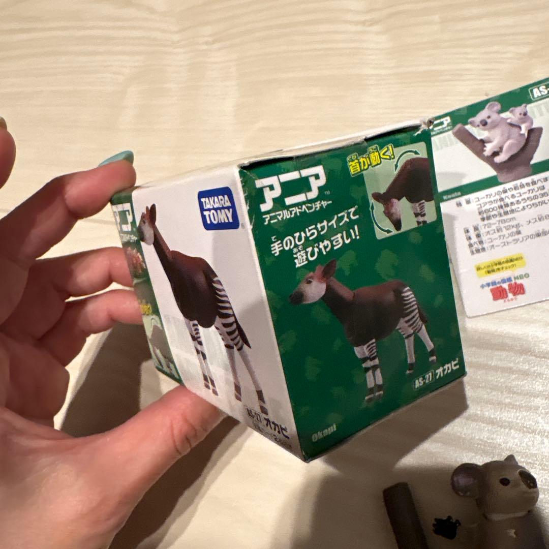 アニア　廃盤　まとめ売り