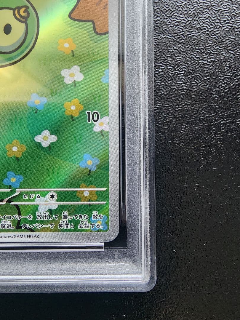 ユニラン AR PSA10
