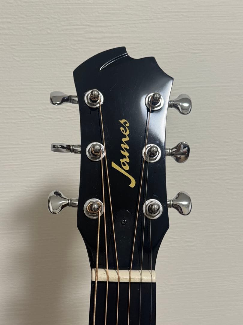 JamesアコースティックギターJ-300Dii VSB