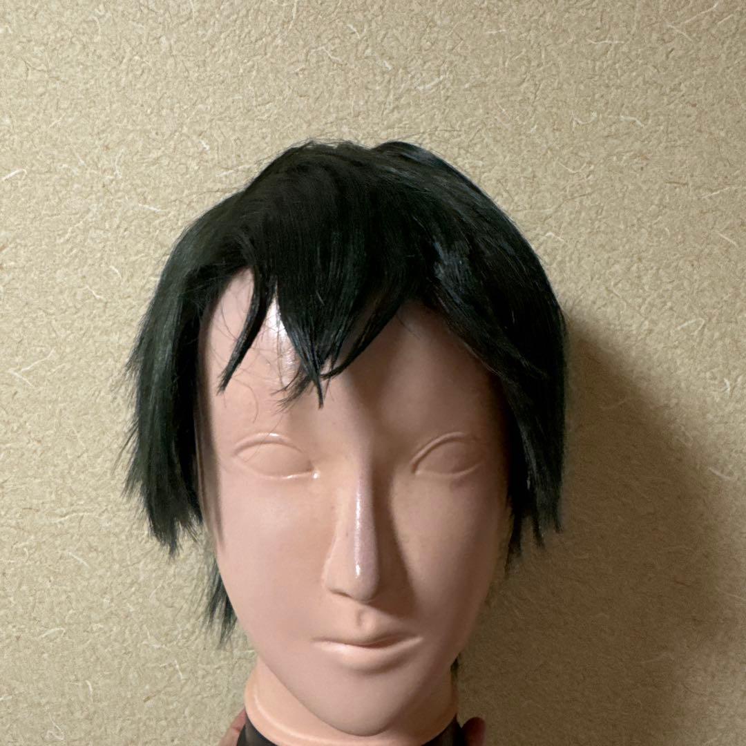 青学　テニプリ　ジャージ　コスプレ　Sサイズ　越前リョーマ　ウィッグ付き