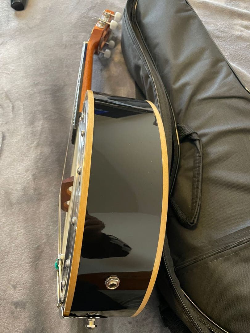 Rozini Banjo ロジニバンジョー ケース付き