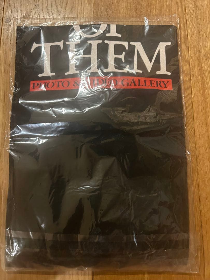 90s USA製 徳永英明 Tシャツ フルーツオブザルーム ビンテージ