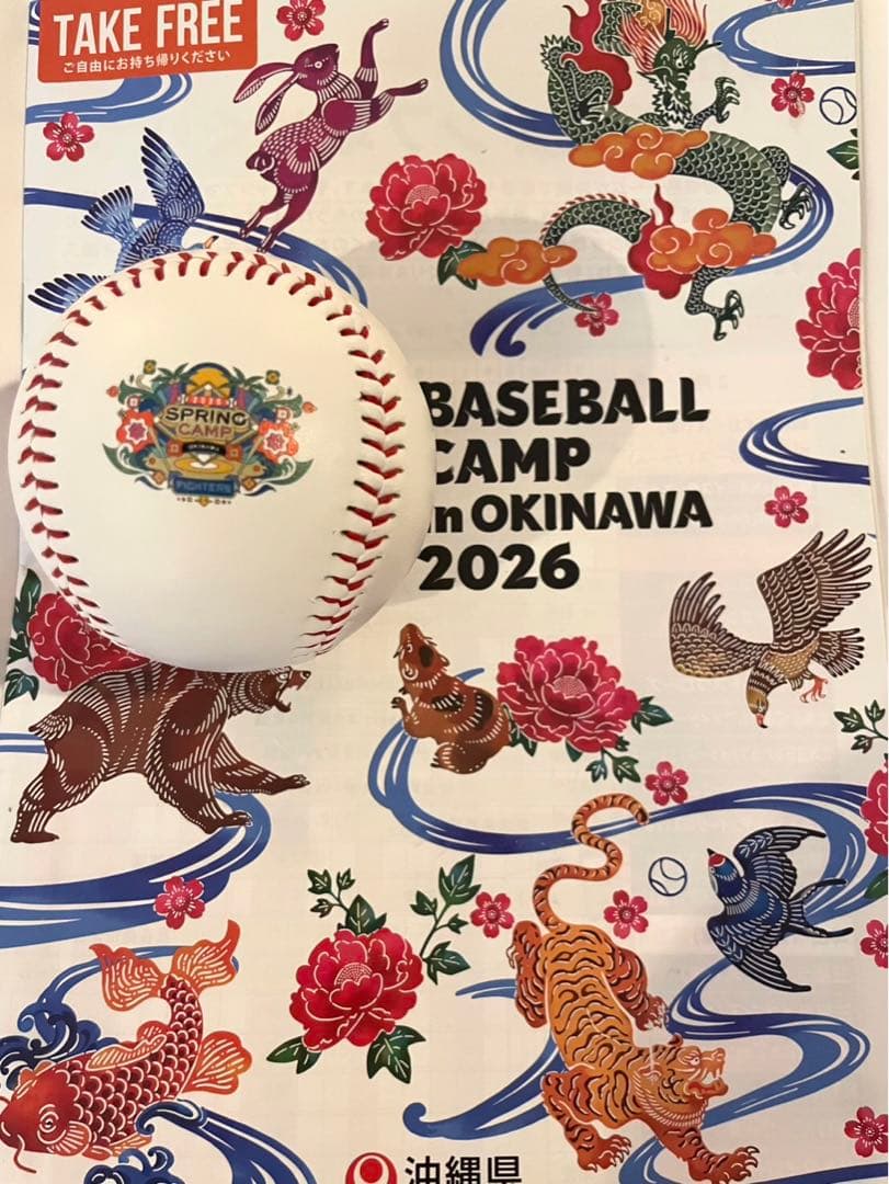 日本ハムファイターズ 伊藤大海 直筆サインボール 2026 沖縄キャンプ限定球