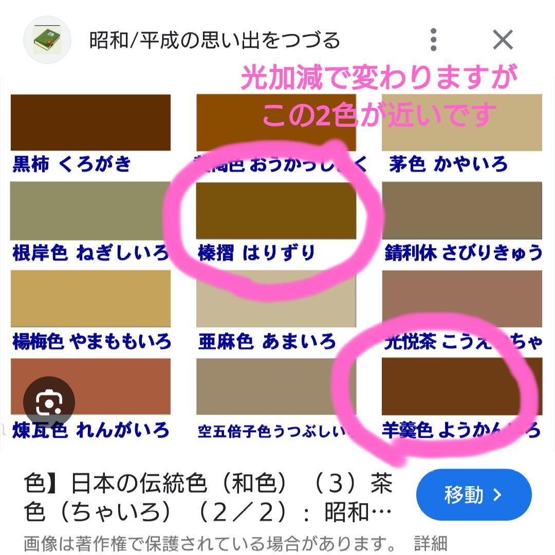 ベリーダンス セットアップ 衣装　ブラウン　茶色　ブラベルト　オリエンタル