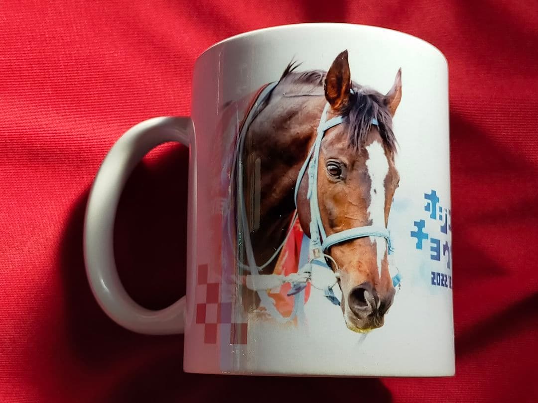 ②◆　競馬　JRA　◆オジュウチョウサン◆引退記念グッズ◆マグカップ　缶バッチ◆