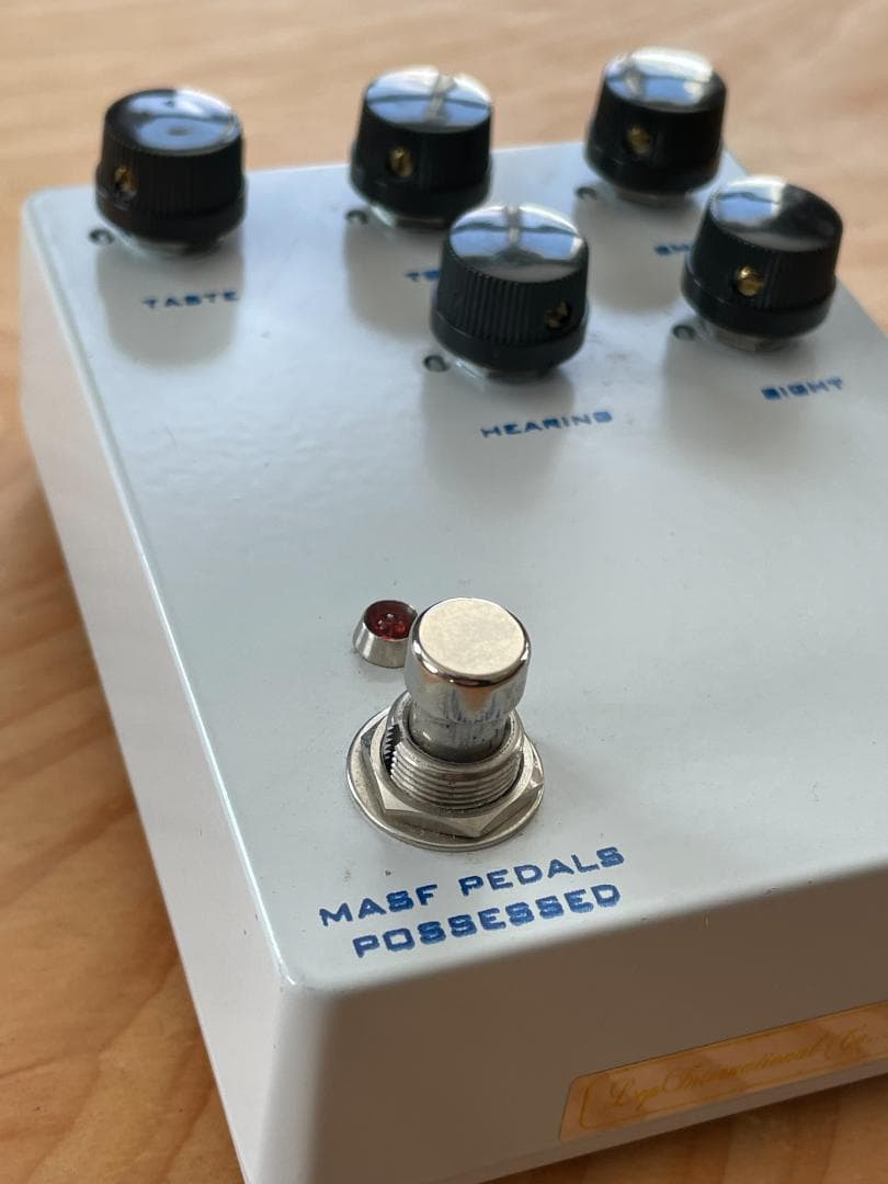 MASF Pedals POSSESSED グリッチ ランダム ディレイ ノイズ