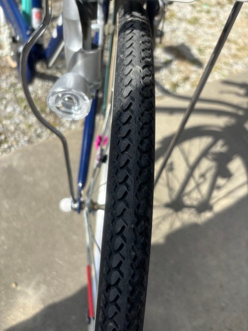 愛知県　直接引渡し限定　子供用自転車 ブリジストン　24型　ワイルドベリー