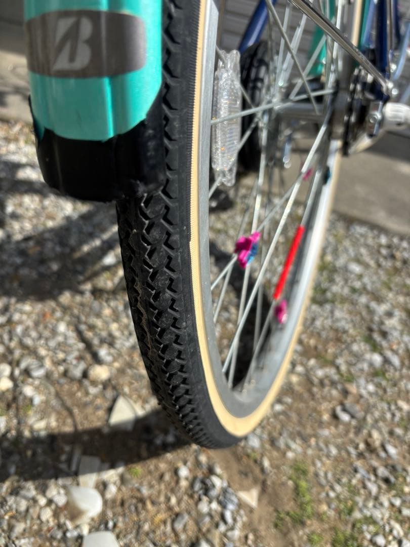 愛知県　直接引渡し限定　子供用自転車 ブリジストン　24型　ワイルドベリー