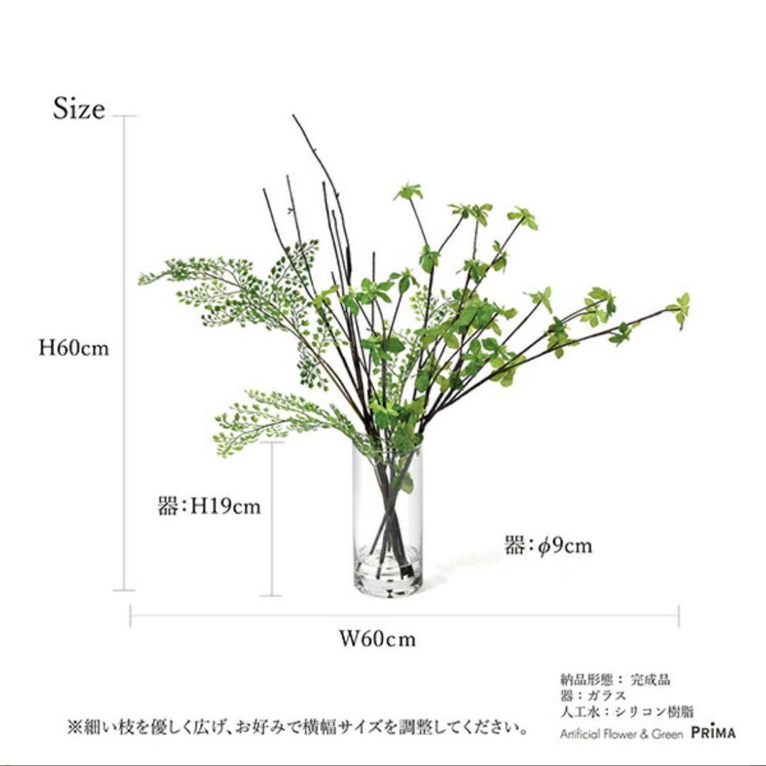 GREENPARK ドウダンツツジ ミックス 新品未使用