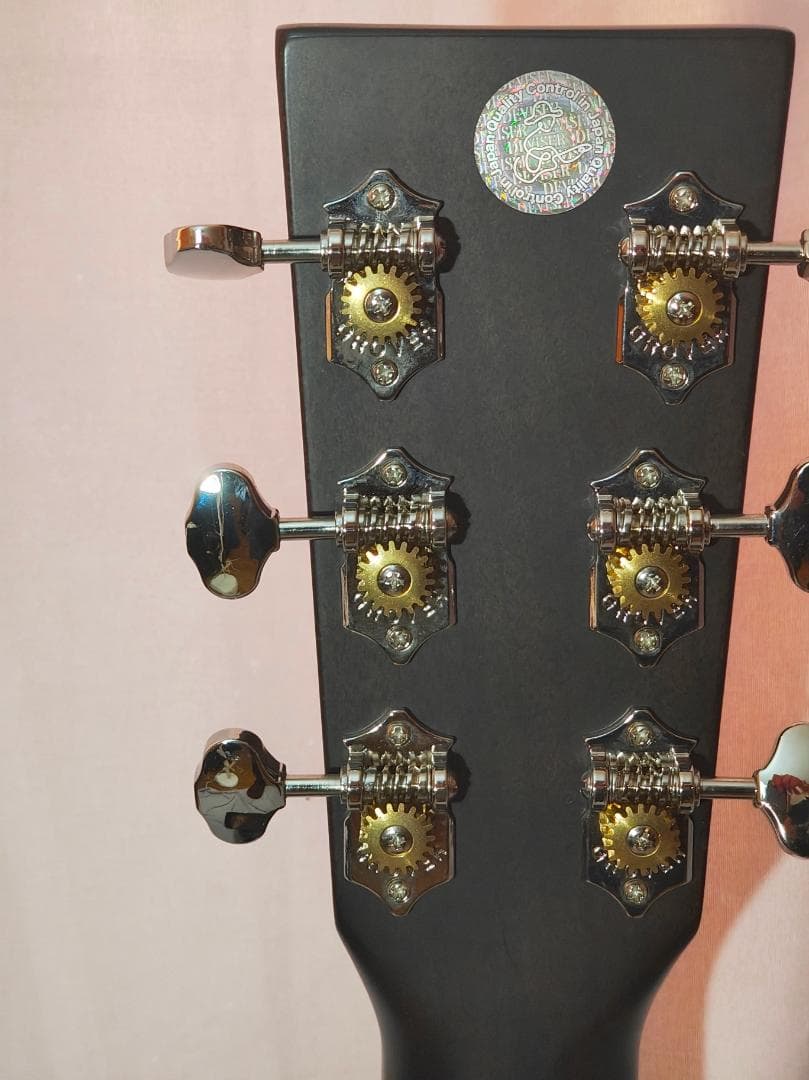 Headway HF-V115ASE/AGED オール単板 エレアコ