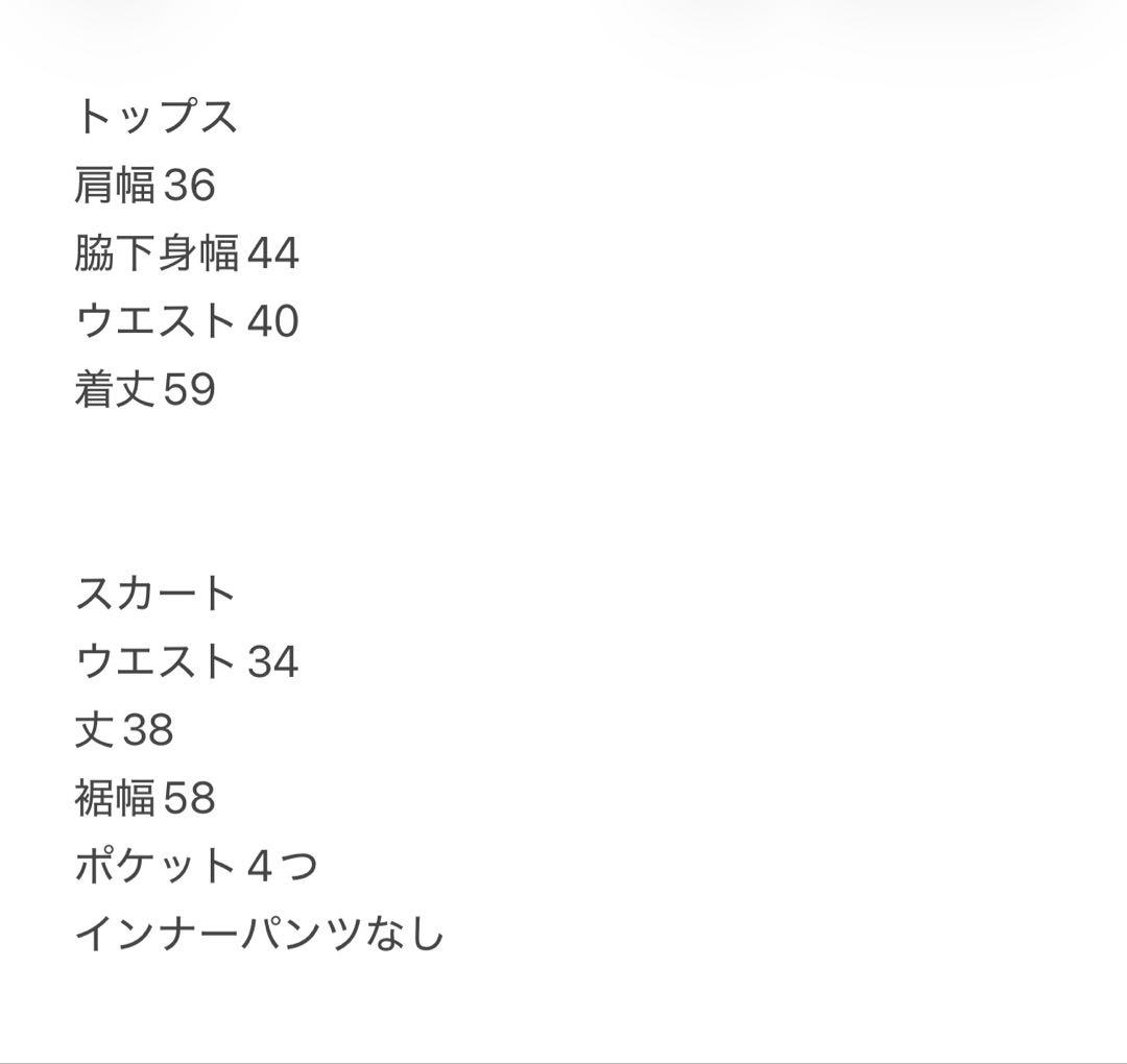 半袖　ハイネック　モックネック　バックフレアスカート　上下セット　サイズS 春夏