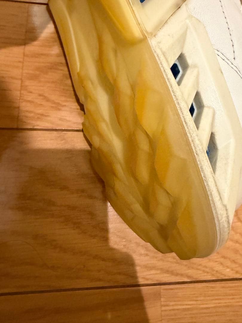 ecco バイオム C4 BIOM サイズ42