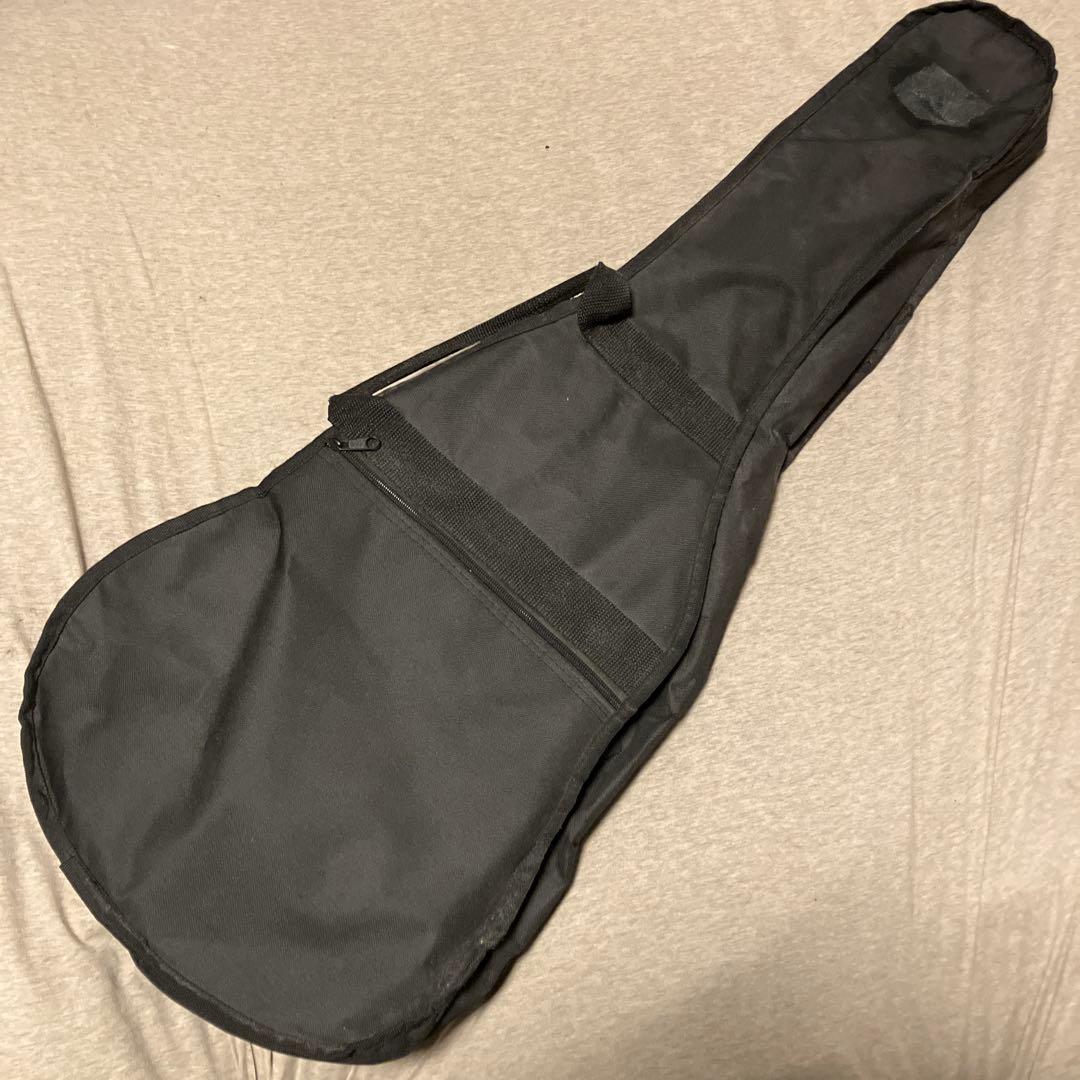 【PIGNOSE】ピグノーズ PGG-200 サンバースト アンプ内蔵ミニギター