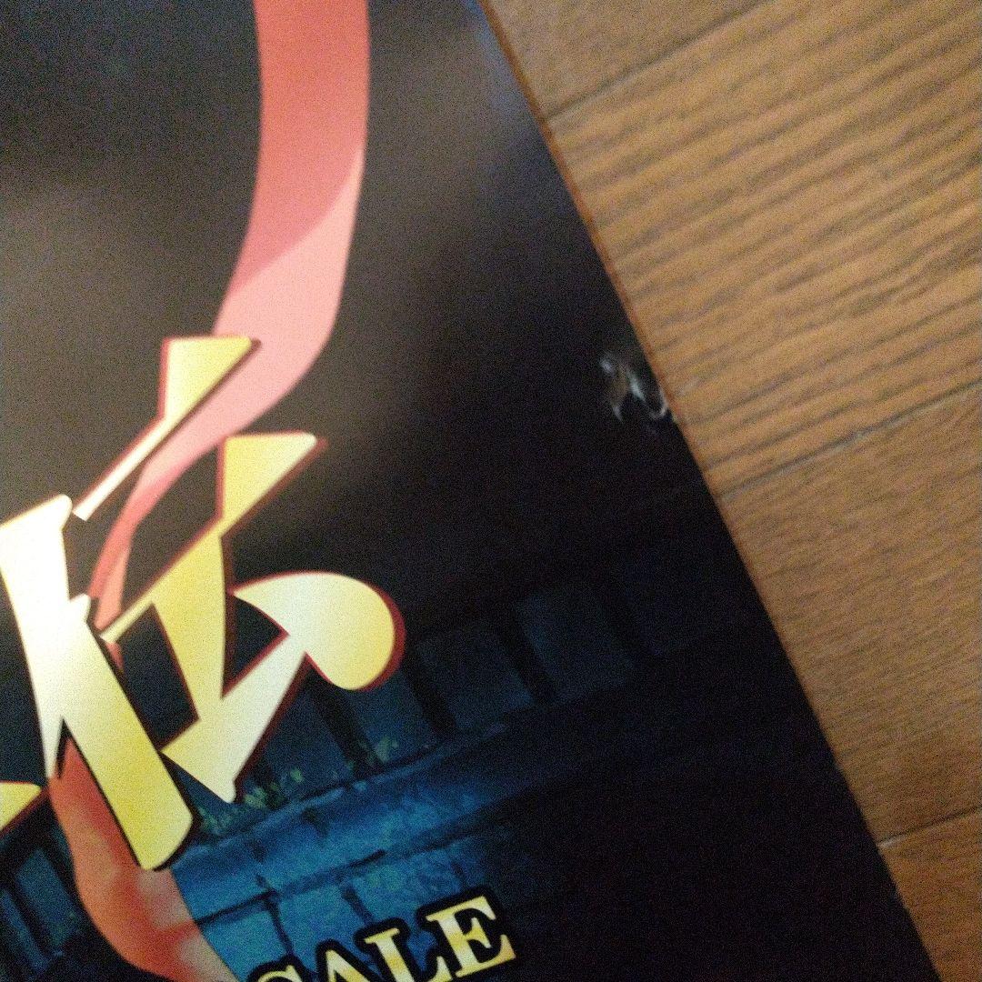 レア 美品 淫魔聖伝 大鳥香＆亀山瞳 B2ポスター 2点セット りんしん