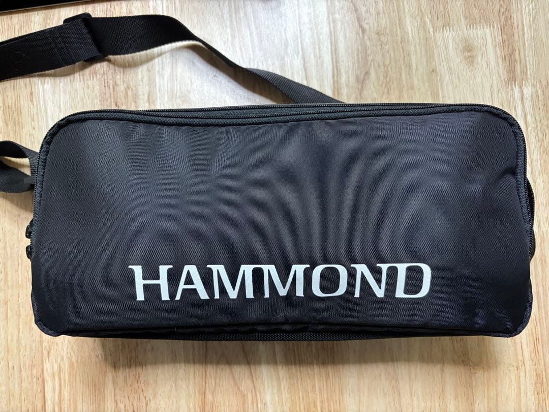 HAMMOND ハモンド PRO-24B 鍵盤ハーモニカ エレアコ バスモデル