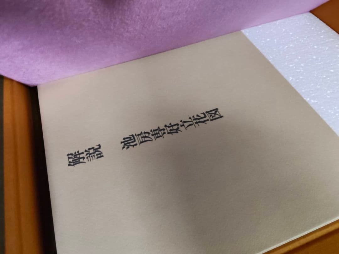 ★立花 陽明文庫蔵 池坊専好 講談社 昭和45年 解説付 定価3万9千円